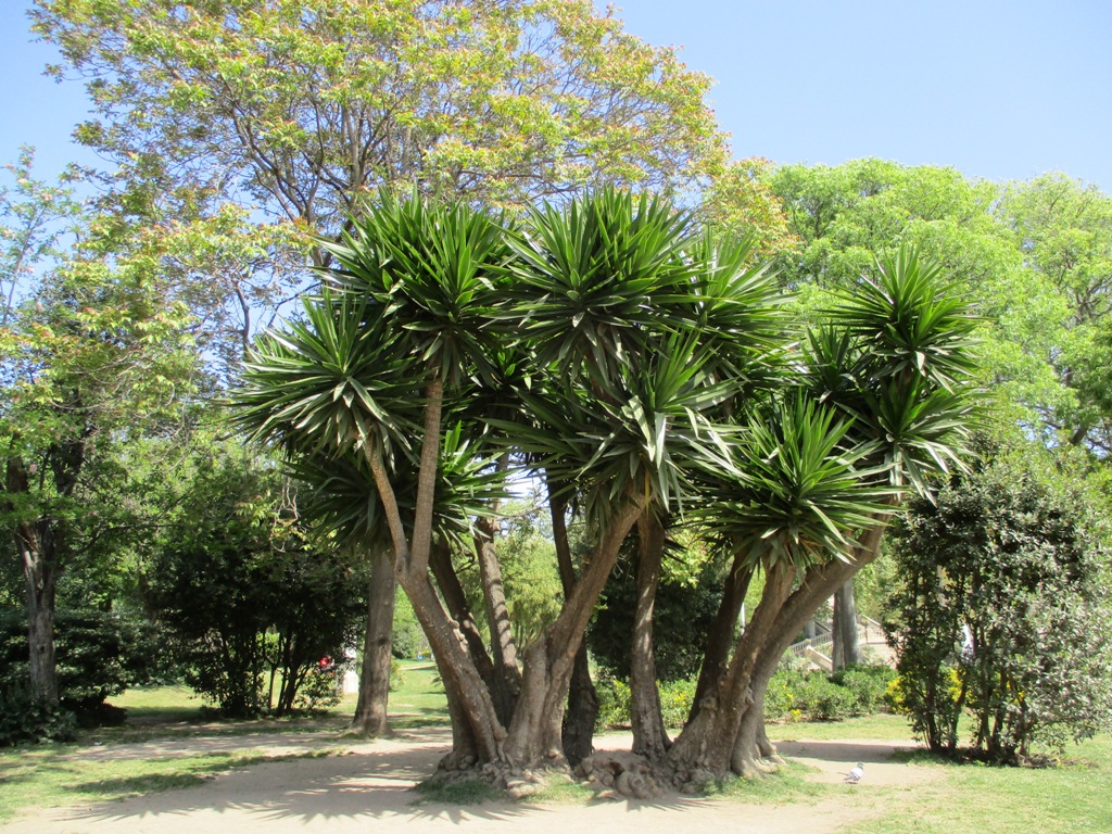 Barcelone Parc Guelh